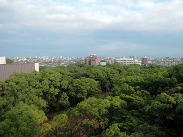 【お部屋からみた眺望】市中心部とは思えない、緑豊かな景色を一望。