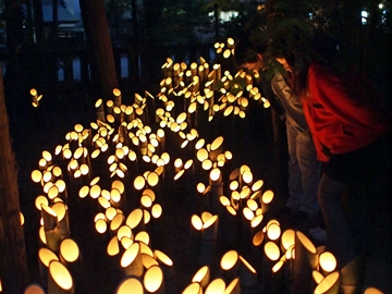 *安曇野神竹灯（過去の開催イメージ）