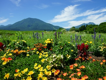 *周辺観光/夏の妙高山