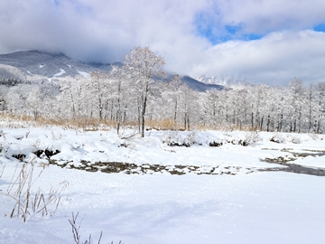 *周辺観光／イモリ池冬の風景