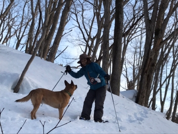 *周辺/愛犬ルイも雪に大喜びです♪